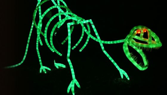 Представление световых кукол. Театр Николая Зыкова (Москва), Великие Луки