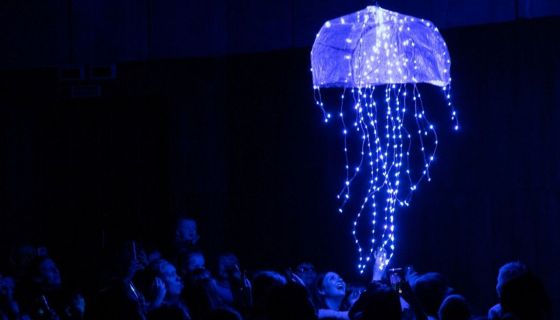 Представление световых кукол. Театр Николая Зыкова (Москва), Великие Луки