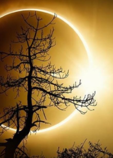 Проделки Луны