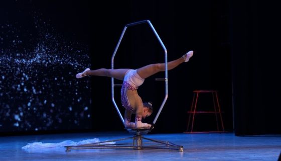 Цирковое шоу «Парадиз», Великие Луки