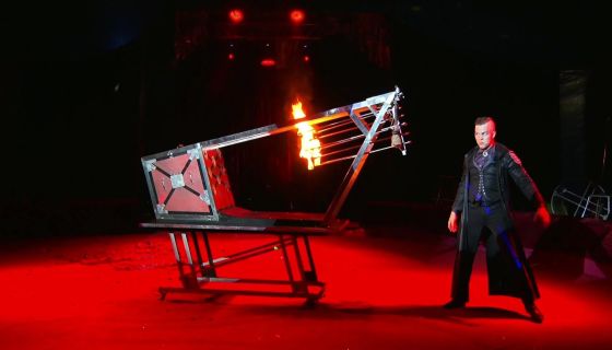 Цирк-шапито Мансуровых. Шоу «Форсаж: Эпоха Тигра»