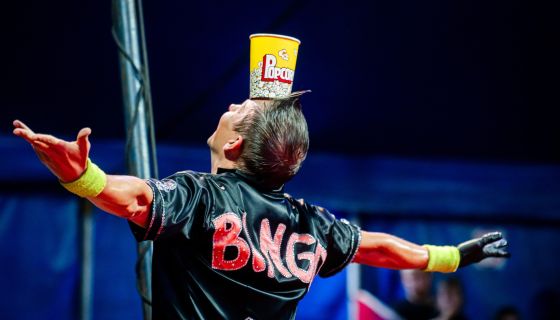 Цирк-шапито Мансуровых. Шоу «Форсаж: Эпоха Тигра»