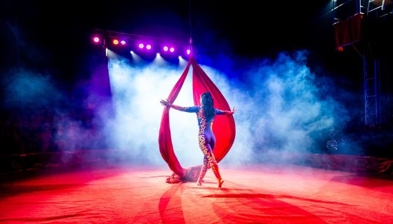 Цирк-шапито Мансуровых. Шоу «Форсаж: Эпоха Тигра»