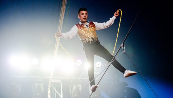 Цирк-шапито Мансуровых. Шоу «Форсаж: Эпоха Тигра»